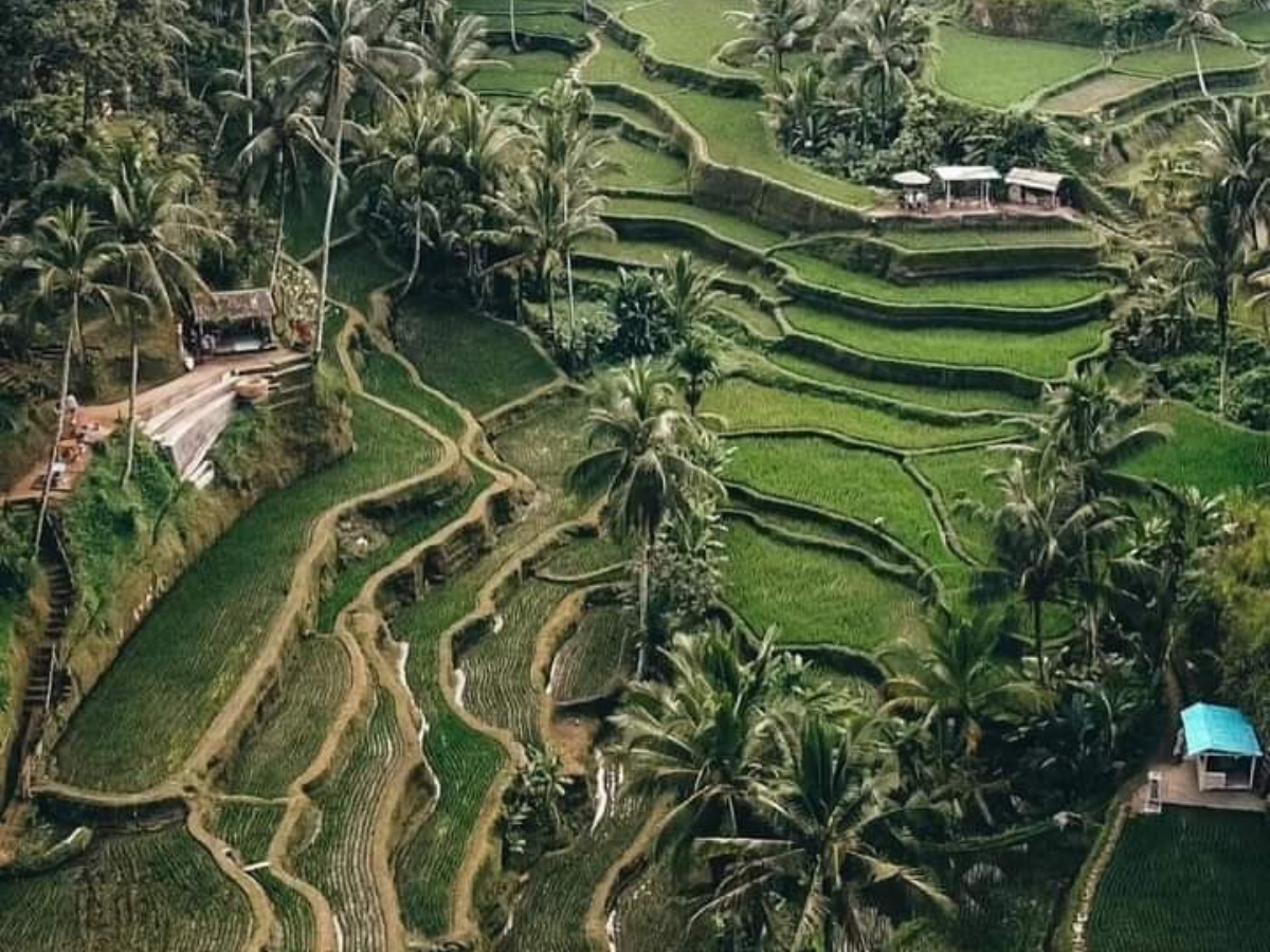 Ubud